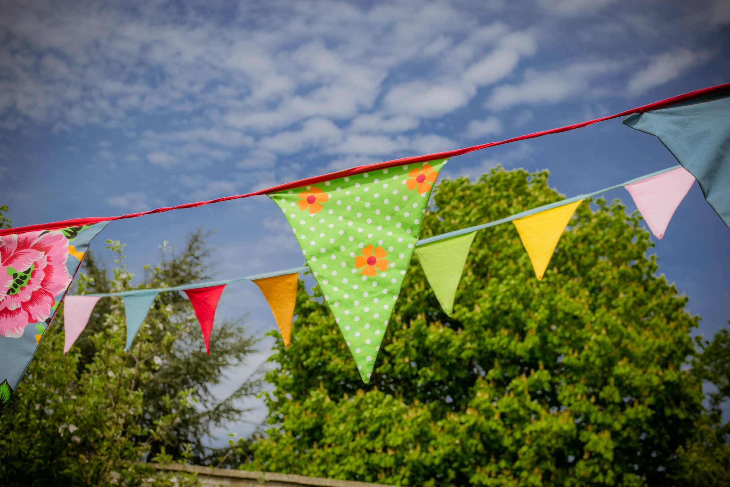 foxy-bunting-1342240